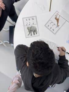 Klasse ¾, immer donnerstags ein kind sitzt an einem weißen tisch und zeichnet den umriss eines dinosauriers. auf dem tisch liegen tierkarten mit den abbildungen eines elefanten und einer giraffe, auf denen musiknoten abgebildet sind.
