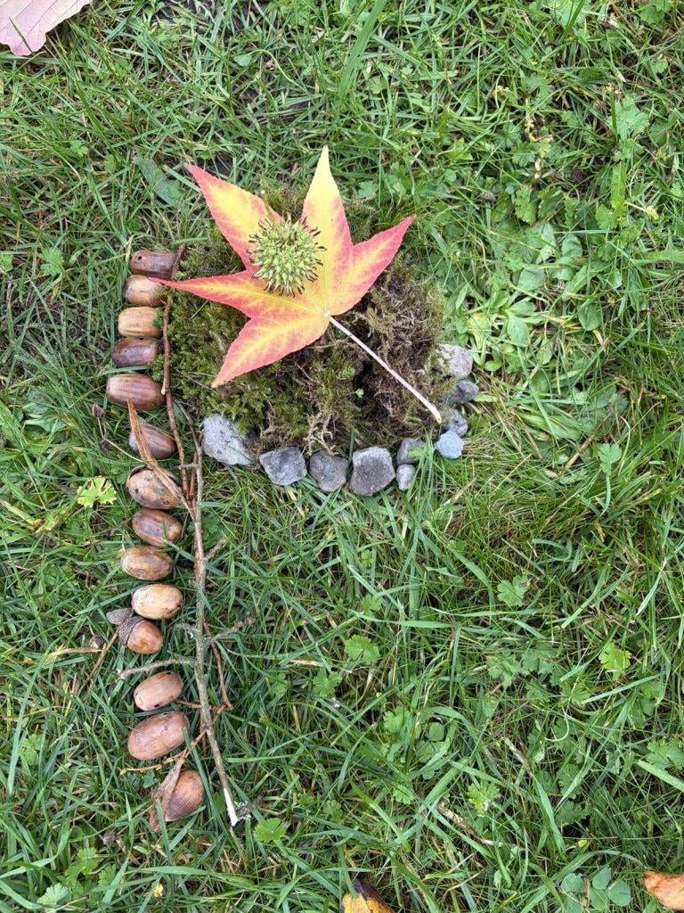 ein naturarrangement auf gras mit einem gelben und roten ahornblatt, einer runden samenkapsel, moos, einem halbkreis aus kleinen grauen steinen und einer reihe von eicheln auf einem zweig.