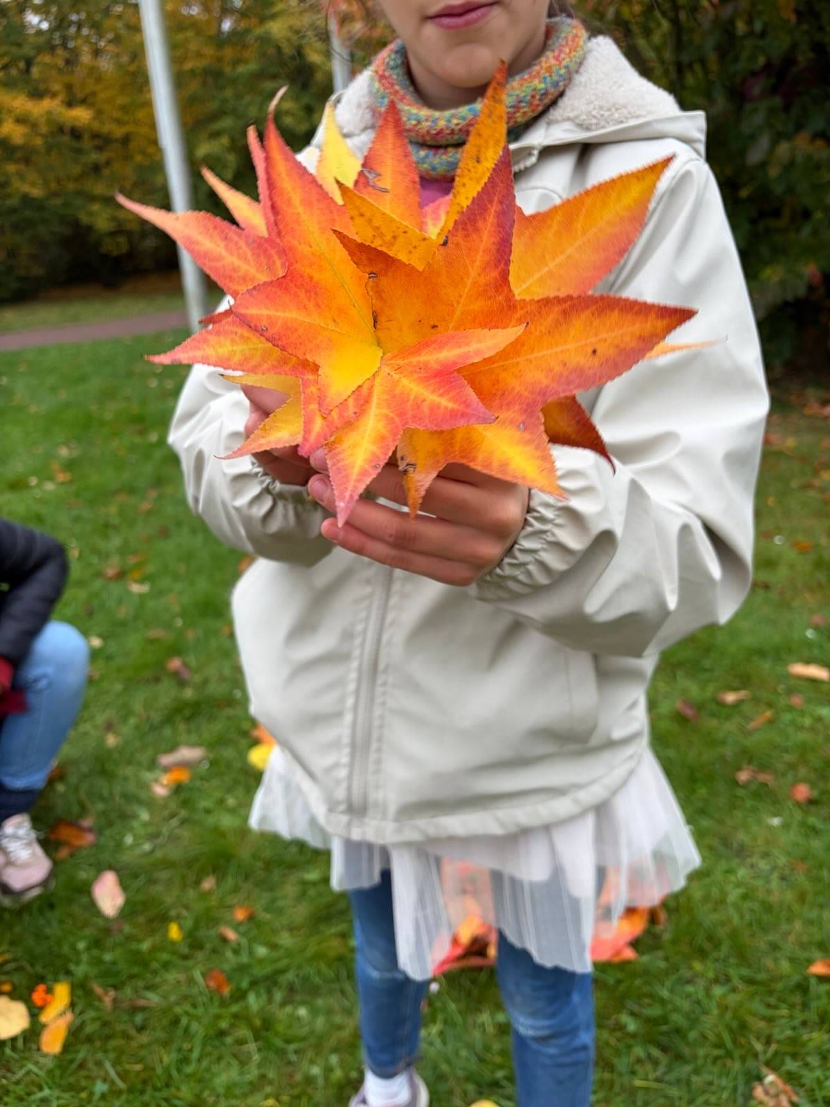 Stadtteilerkundung Britz ein kind in einer hellen jacke und einem schal hält einen großen strauß leuchtend orangefarbener und gelber herbstblätter in der hand und steht auf einer wiese, auf der weitere blätter verstreut sind. das gesicht des kindes ist teilweise außerhalb des rahmens.